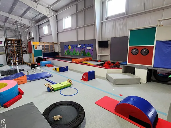 Aplicações de embalagens flexíveis de fitness